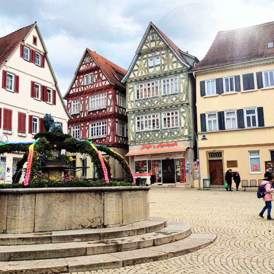 Im Herzen Der Altstadt Vaihingen an der Enz Exteriér fotografie